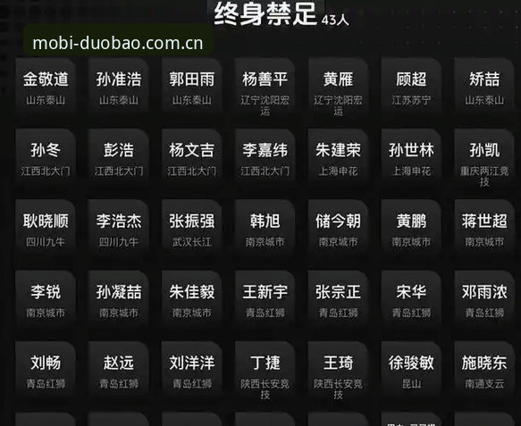 足协第三批禁足名单深度解读：终身禁赛vs五年禁赛，中国足球反腐的两种结局